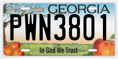 GA license plate PWN3801