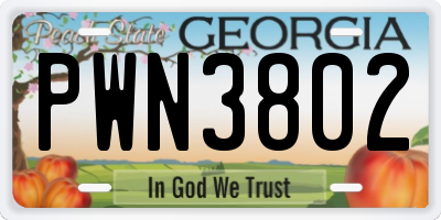 GA license plate PWN3802