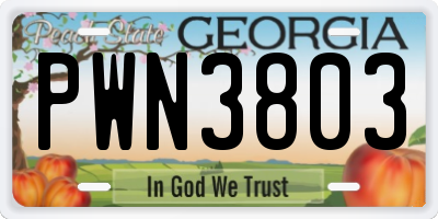 GA license plate PWN3803