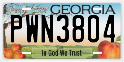 GA license plate PWN3804