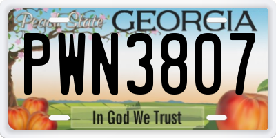 GA license plate PWN3807