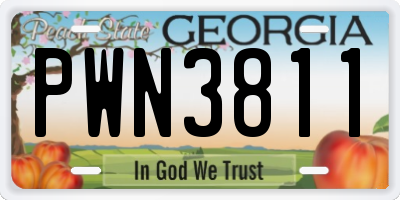 GA license plate PWN3811