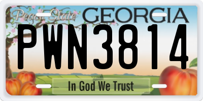 GA license plate PWN3814