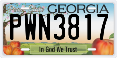 GA license plate PWN3817