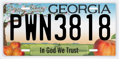 GA license plate PWN3818