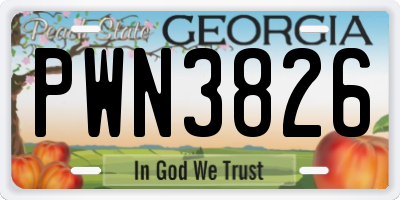 GA license plate PWN3826