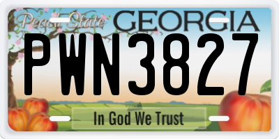 GA license plate PWN3827