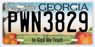 GA license plate PWN3829
