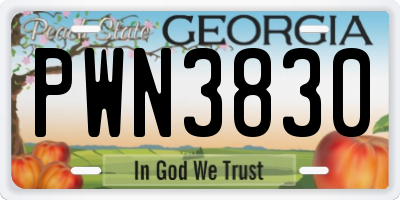 GA license plate PWN3830
