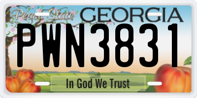 GA license plate PWN3831