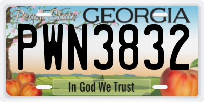 GA license plate PWN3832