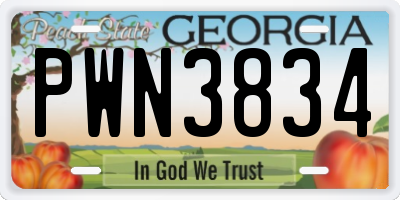 GA license plate PWN3834