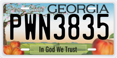 GA license plate PWN3835