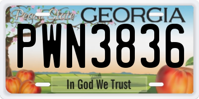 GA license plate PWN3836