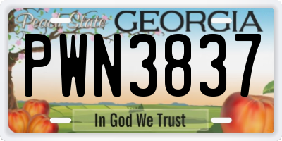 GA license plate PWN3837