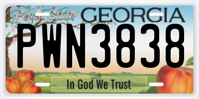 GA license plate PWN3838
