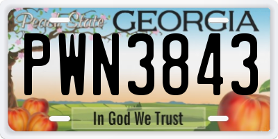 GA license plate PWN3843
