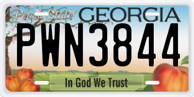 GA license plate PWN3844