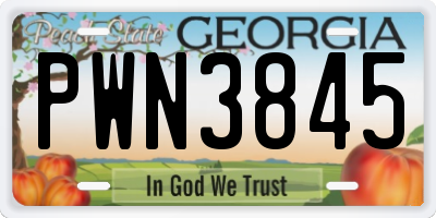 GA license plate PWN3845