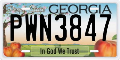 GA license plate PWN3847