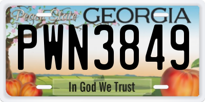 GA license plate PWN3849