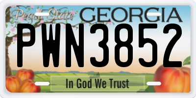 GA license plate PWN3852