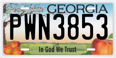 GA license plate PWN3853