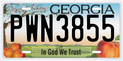GA license plate PWN3855