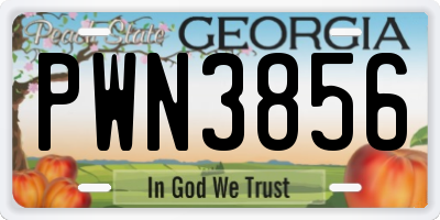 GA license plate PWN3856