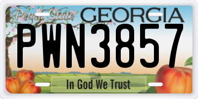 GA license plate PWN3857