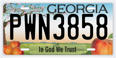 GA license plate PWN3858
