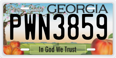 GA license plate PWN3859