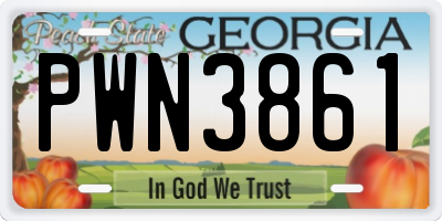 GA license plate PWN3861