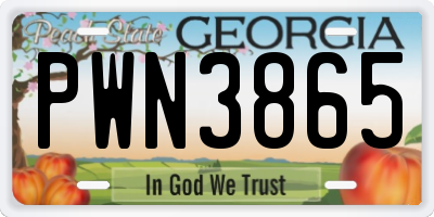GA license plate PWN3865