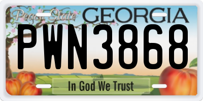 GA license plate PWN3868