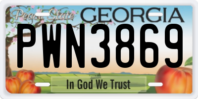 GA license plate PWN3869