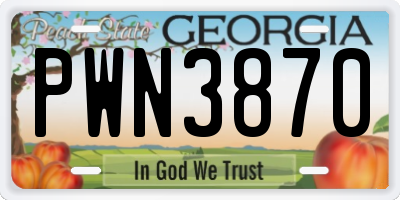 GA license plate PWN3870