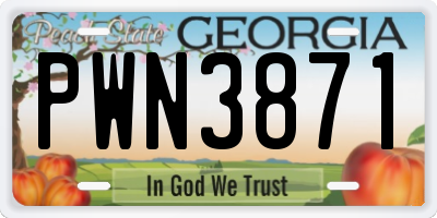 GA license plate PWN3871