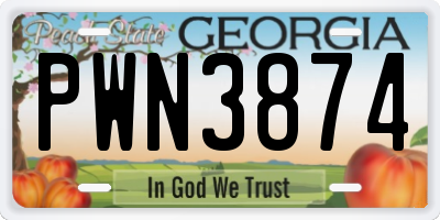 GA license plate PWN3874