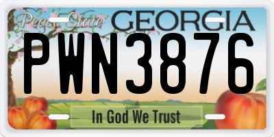 GA license plate PWN3876