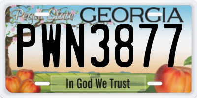 GA license plate PWN3877