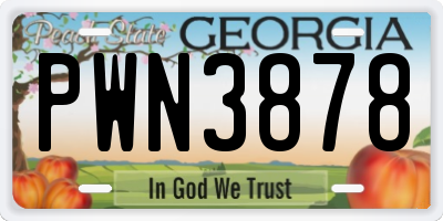 GA license plate PWN3878