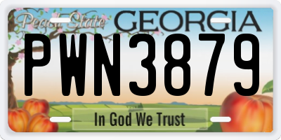 GA license plate PWN3879