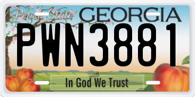 GA license plate PWN3881