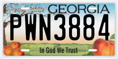 GA license plate PWN3884