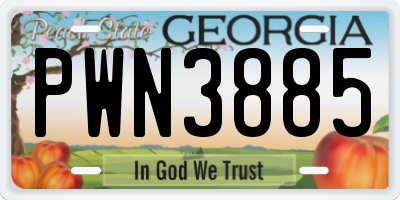 GA license plate PWN3885