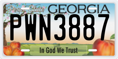 GA license plate PWN3887