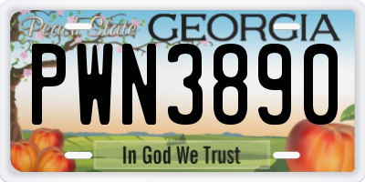 GA license plate PWN3890
