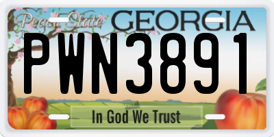 GA license plate PWN3891
