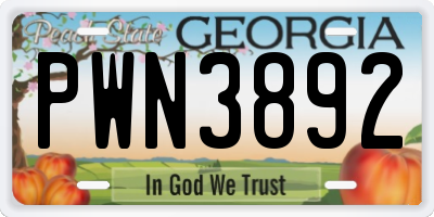 GA license plate PWN3892